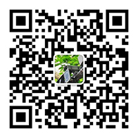 业务联系方式